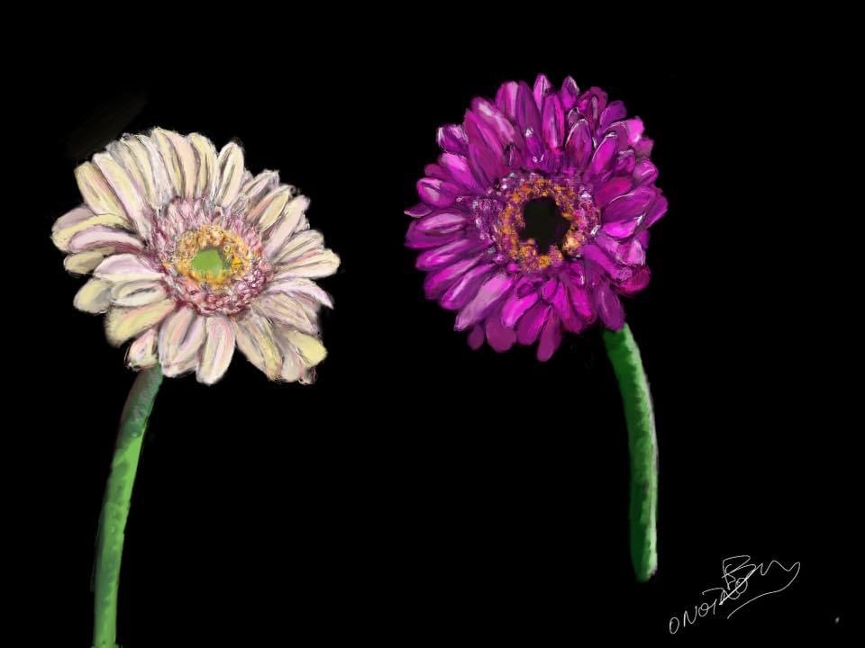 onoir flowers