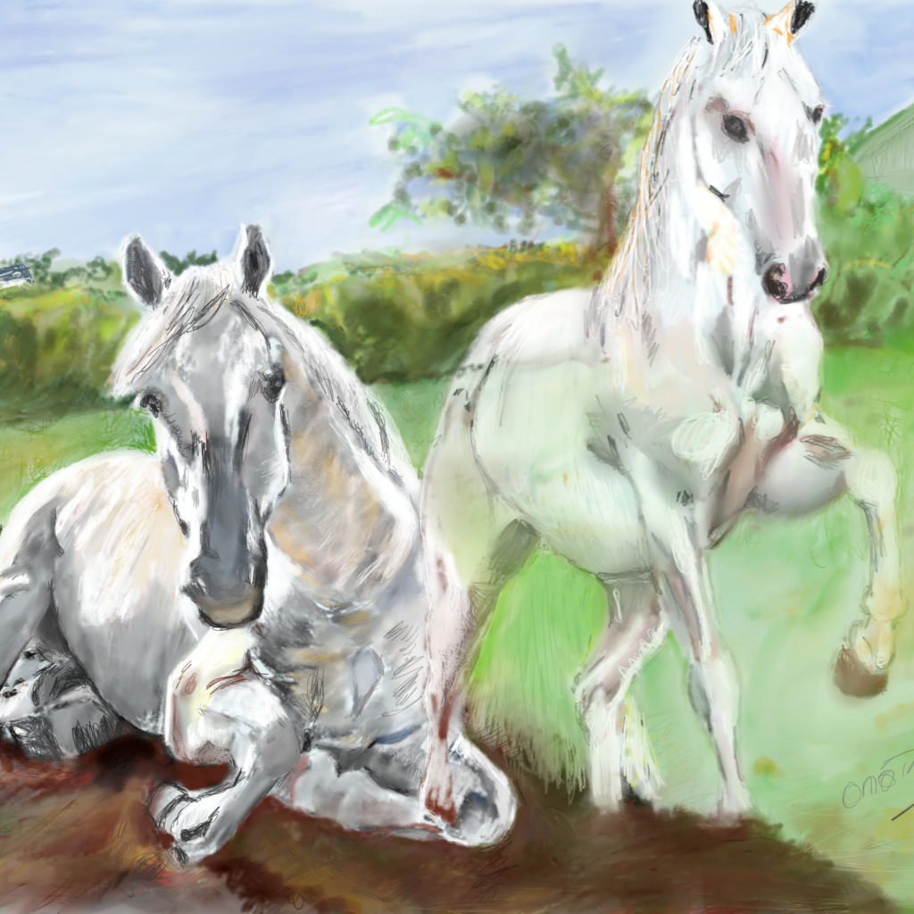 Onoir Horse Image